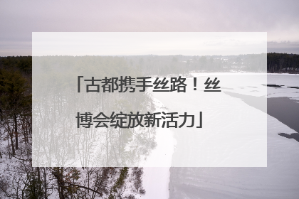 古都携手丝路！丝博会绽放新活力