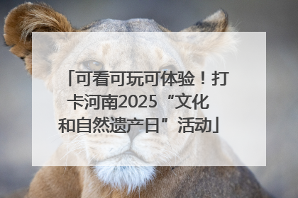 可看可玩可体验！打卡河南2025“文化和自然遗产日”活动