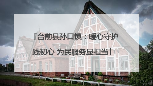 台前县孙口镇：暖心守护践初心 为民服务显担当