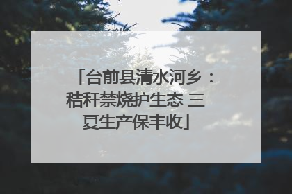 台前县清水河乡：秸秆禁烧护生态 三夏生产保丰收