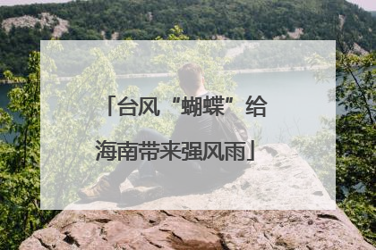 台风“蝴蝶”给海南带来强风雨