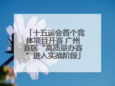 十五运会首个竞体项目开赛 广州赛区“高质量办赛”进入实战阶段