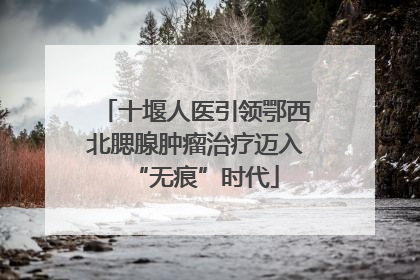 十堰人医引领鄂西北腮腺肿瘤治疗迈入“无痕”时代