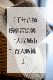 千年古镇杨柳青绘就“人民城市”育人新篇