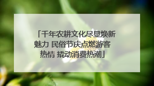 千年农耕文化尽显焕新魅力 民俗节庆点燃游客热情 撬动消费热潮