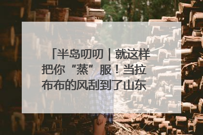 半岛叨叨｜就这样把你“蒸”服！当拉布布的风刮到了山东馒头界……