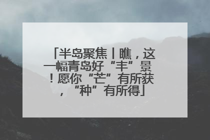 半岛聚焦丨瞧，这一幅青岛好“丰”景！愿你“芒”有所获，“种”有所得