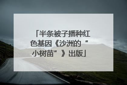 半条被子播种红色基因《沙洲的“小树苗”》出版