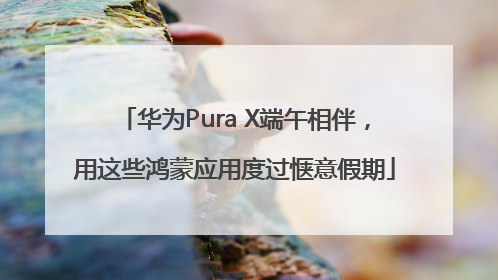 华为Pura X端午相伴，用这些鸿蒙应用度过惬意假期