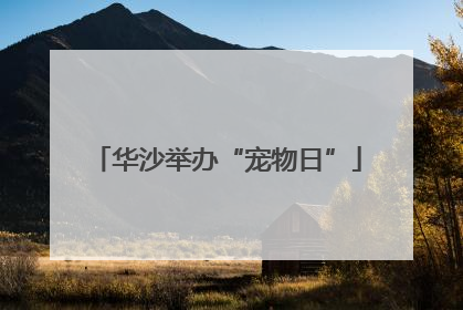 华沙举办“宠物日”