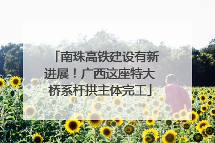 南珠高铁建设有新进展！广西这座特大桥系杆拱主体完工