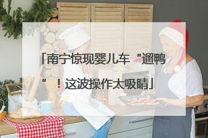 南宁惊现婴儿车“遛鸭”！这波操作太吸睛