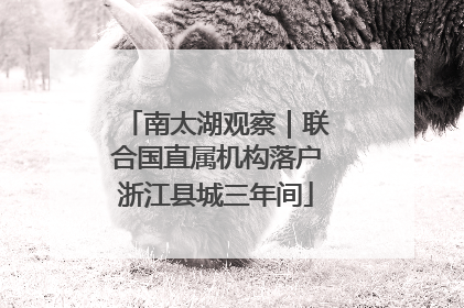 南太湖观察｜联合国直属机构落户浙江县城三年间