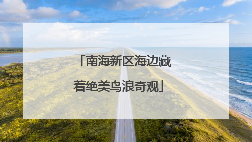 南海新区海边藏着绝美鸟浪奇观