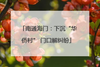 南通海门：下沉“华侨村” 门口解纠纷