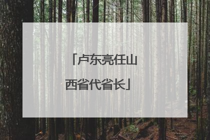 卢东亮任山西省代省长
