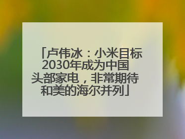 卢伟冰：小米目标2030年成为中国头部家电，非常期待和美的海尔并列
