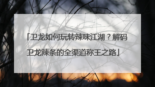 卫龙如何玩转辣味江湖？解码卫龙辣条的全渠道称王之路