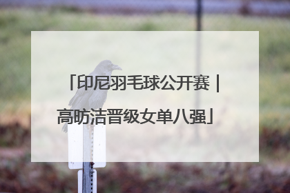 印尼羽毛球公开赛｜高昉洁晋级女单八强