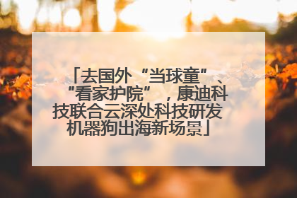 去国外“当球童”、“看家护院”，康迪科技联合云深处科技研发机器狗出海新场景