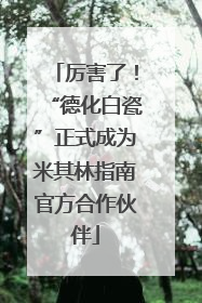 厉害了！“德化白瓷”正式成为米其林指南官方合作伙伴