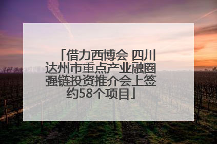 借力西博会 四川达州市重点产业融圈强链投资推介会上签约58个项目