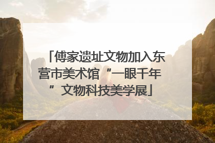 傅家遗址文物加入东营市美术馆“一眼千年”文物科技美学展