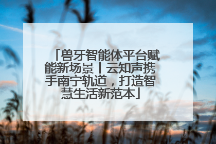 兽牙智能体平台赋能新场景丨云知声携手南宁轨道，打造智慧生活新范本