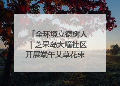 全环境立德树人｜芝罘岛大疃社区开展端午艾草花束DIY活动