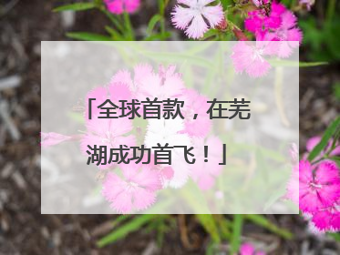 全球首款，在芜湖成功首飞！