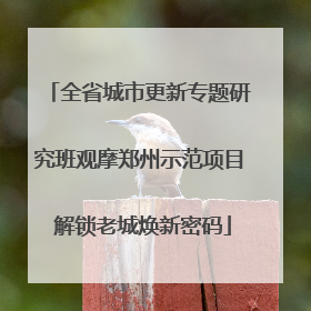 全省城市更新专题研究班观摩郑州示范项目 解锁老城焕新密码
