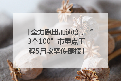 全力跑出加速度，“3个100”市重点工程5月攻坚传捷报