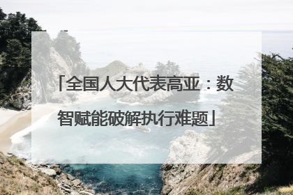全国人大代表高亚：数智赋能破解执行难题