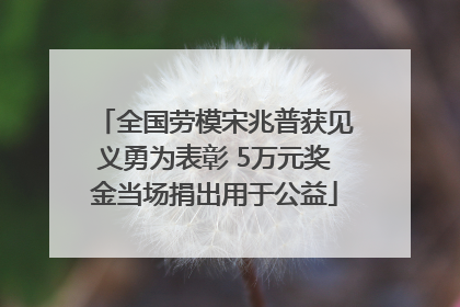 全国劳模宋兆普获见义勇为表彰 5万元奖金当场捐出用于公益
