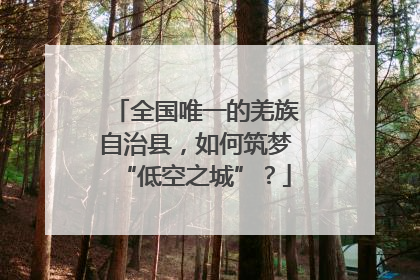 全国唯一的羌族自治县，如何筑梦“低空之城”？
