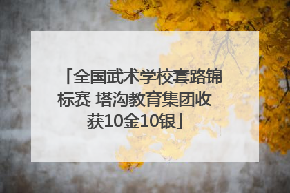 全国武术学校套路锦标赛 塔沟教育集团收获10金10银