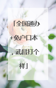 全国通办+免户口本，武昌打个样
