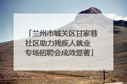 兰州市城关区甘家巷社区助力残疾人就业 专场招聘会成效显著