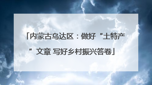 内蒙古乌达区：做好“土特产”文章 写好乡村振兴答卷