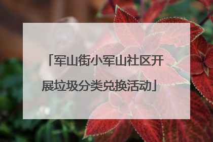 军山街小军山社区开展垃圾分类兑换活动