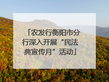 农发行衡阳市分行深入开展“民法典宣传月”活动