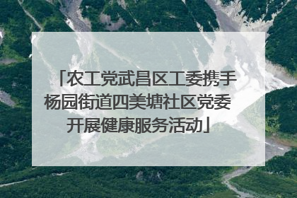 农工党武昌区工委携手杨园街道四美塘社区党委开展健康服务活动
