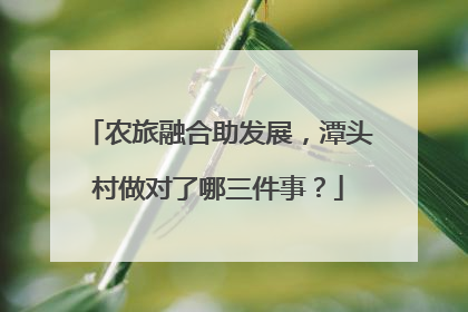 农旅融合助发展，潭头村做对了哪三件事？