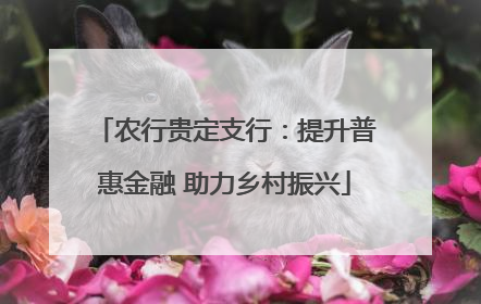 农行贵定支行：提升普惠金融 助力乡村振兴
