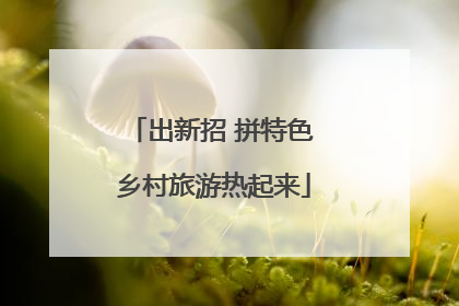 出新招 拼特色 乡村旅游热起来