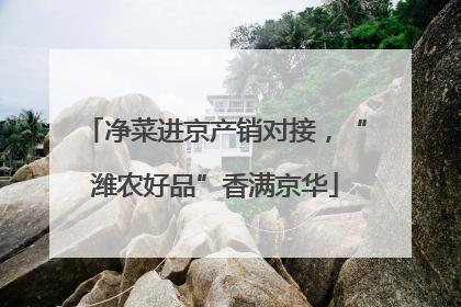 净菜进京产销对接，“潍农好品”香满京华