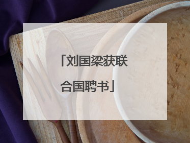 刘国梁获联合国聘书