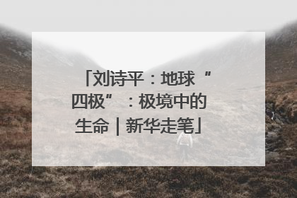 刘诗平：地球“四极”：极境中的生命｜新华走笔