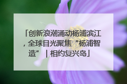 创新浪潮涌动杨浦滨江，全球目光聚焦“杨浦智造”｜相约复兴岛