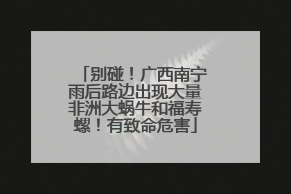 别碰！广西南宁雨后路边出现大量非洲大蜗牛和福寿螺！有致命危害